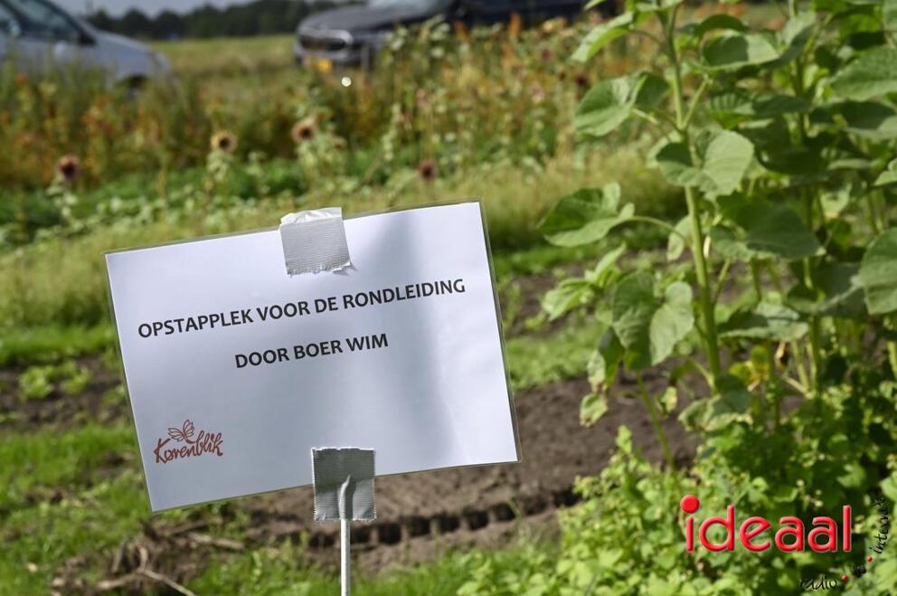 JB-opendag-2026-09-05-0043