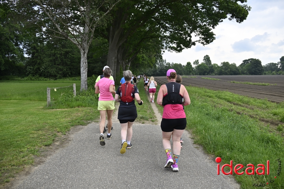 31-05-2026 Quintusloop (13).JPG