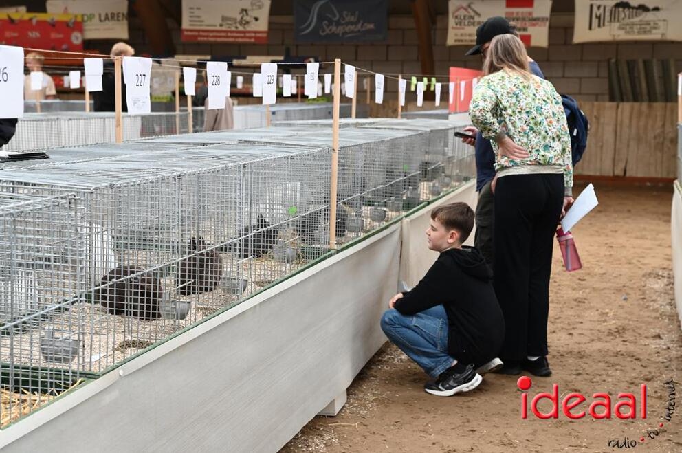 JB-JeugdshowLaren-2026-09-19-0009