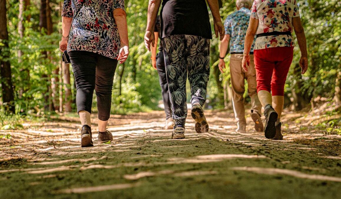 wandelgroepochtend-Lochem-002