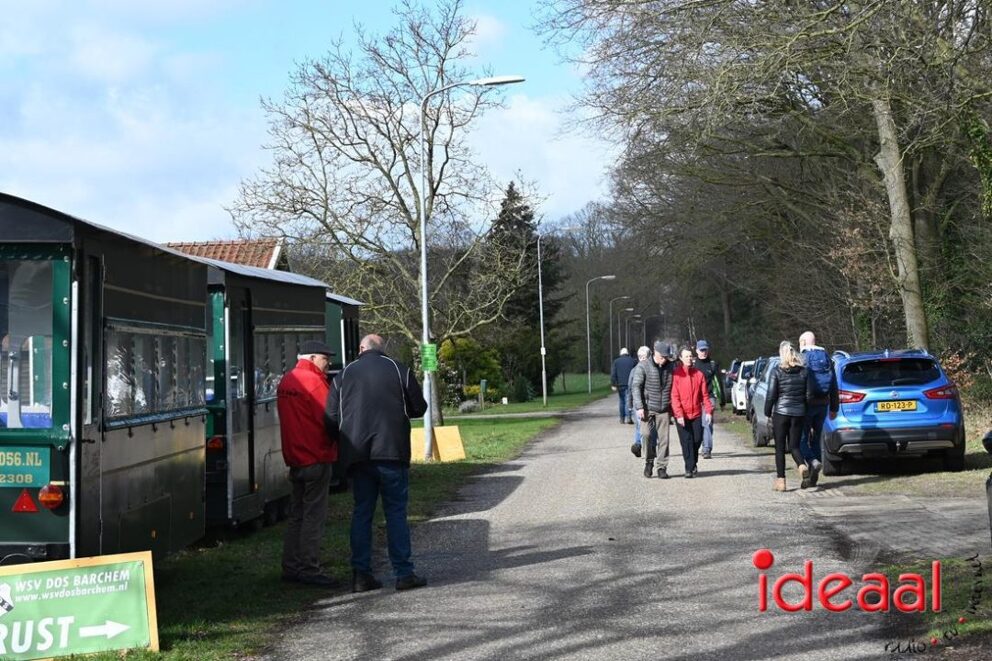 JB-wandel5maandse-2026-03-15-068