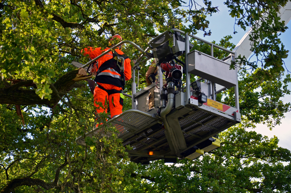 20240504-stormschadewarnsveld12