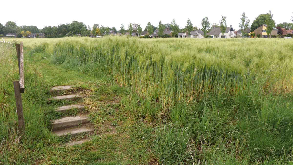 StokhorsterparkHummelo0.png