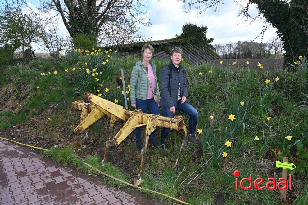 JB-Plattelandswandeling-2026-03-29-041