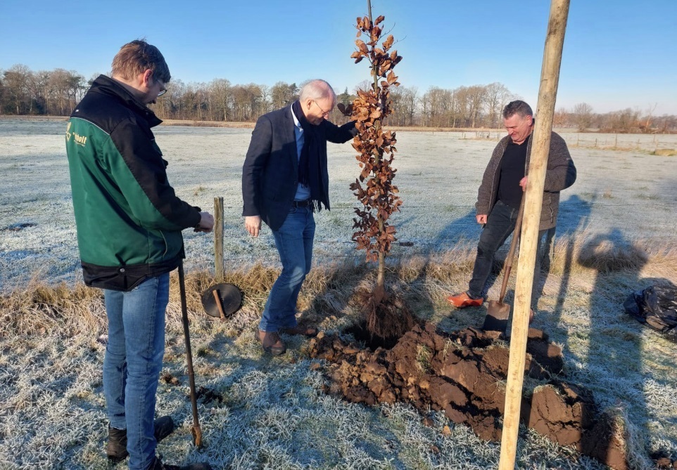 Een-boom-mot-kunnen-foto-gemeente-Lochem
