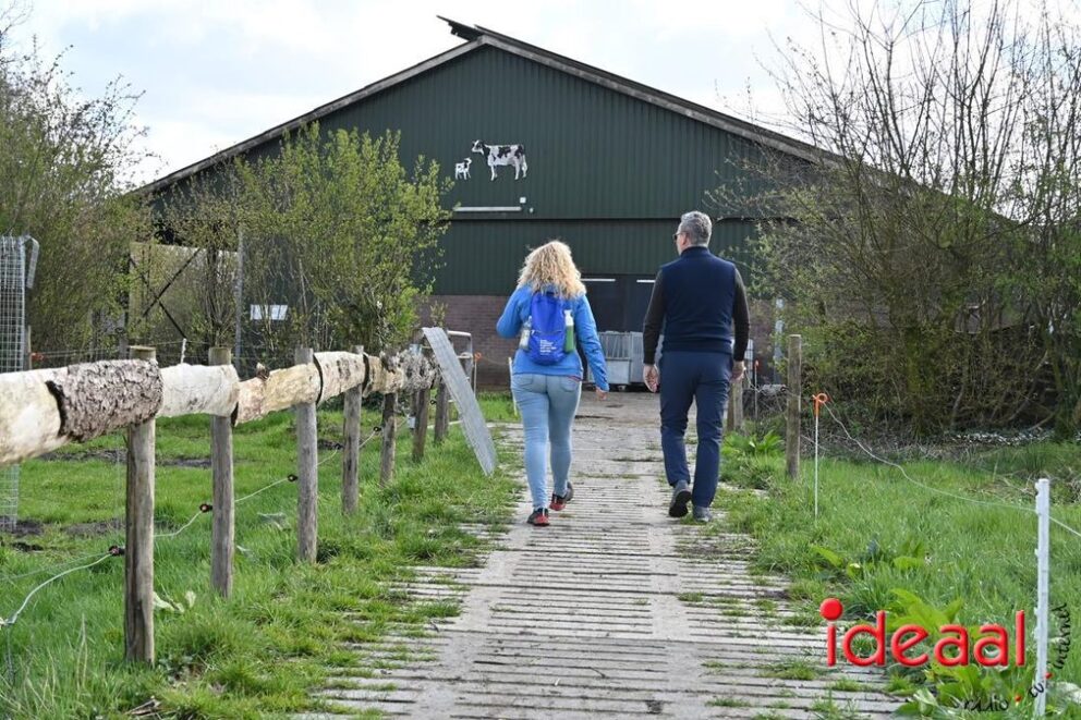 JB-Plattelandswandeling-2026-03-29-069