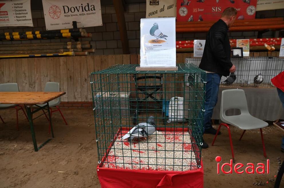 JB-JeugdshowLaren-2026-09-19-0014