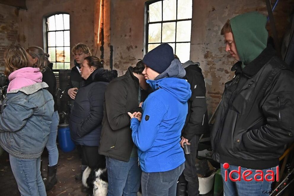 JB-nieuwjaarsduik-2026-01-01-005