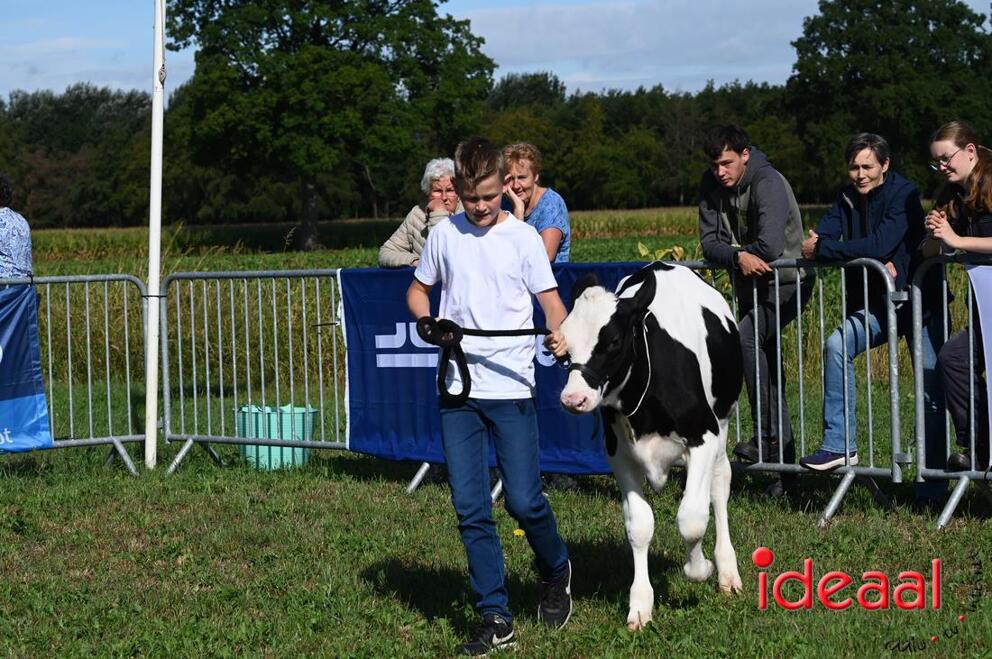 JB-KOCBronckhorst-2026-08-29-0042