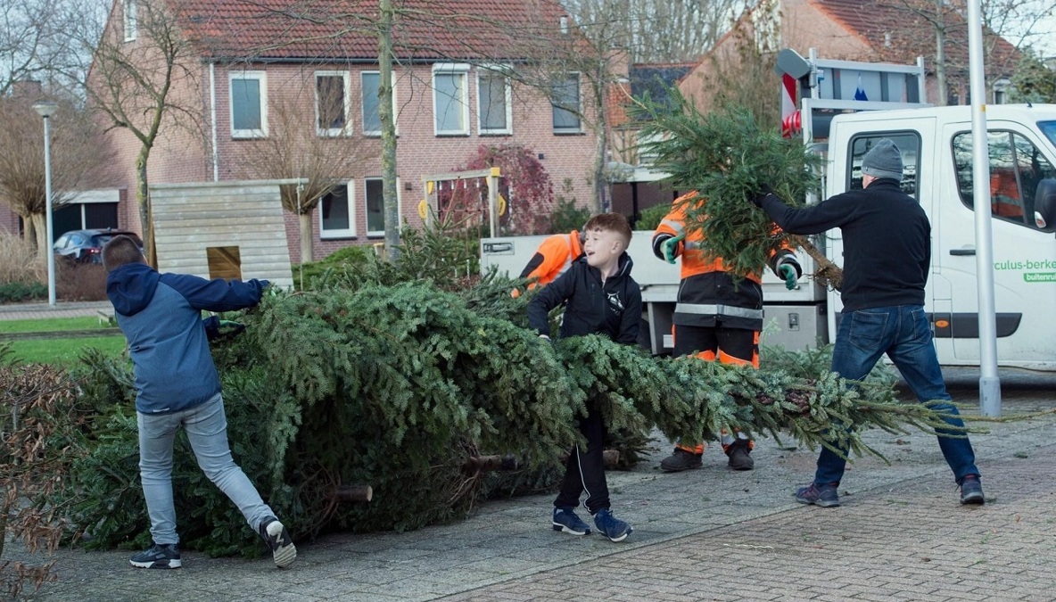 kerstbomen-inzamelen-gemeente-Lochem-op-woensdag-10-01-2024