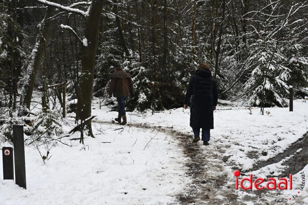 JB-winterwandelingWildenborch-2026-01-04-027