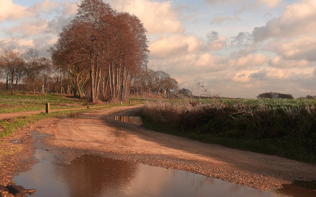 rtv-ideaal-zandweg-in-buitengebied.jpg