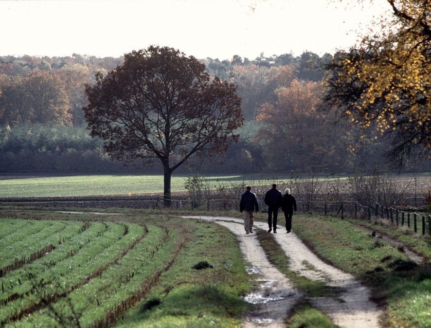 Lochemse_Berg-lange_winterwandeling-foto_Koos_Dansen-1-