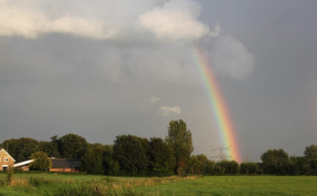Regenboog-scaled