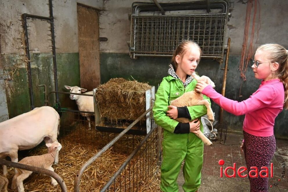 JB-Plattelandswandeling-2026-03-29-126
