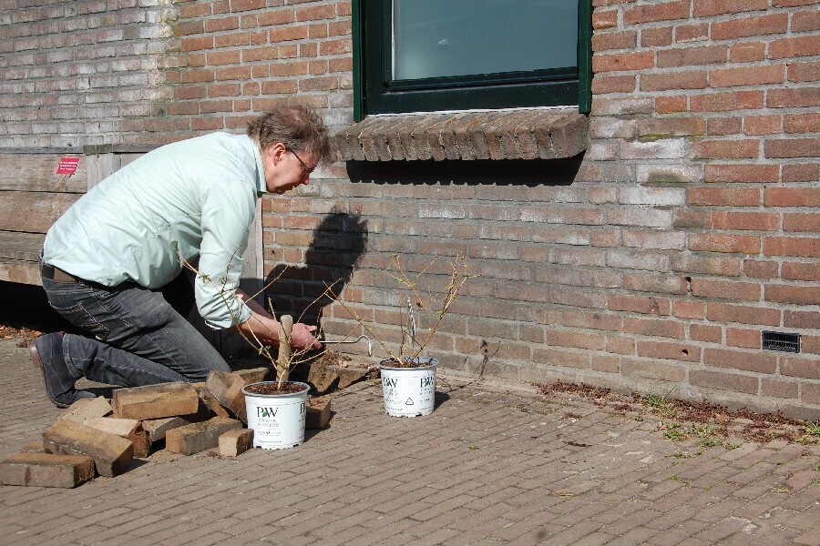 20220321-nktegelwippenlochem3