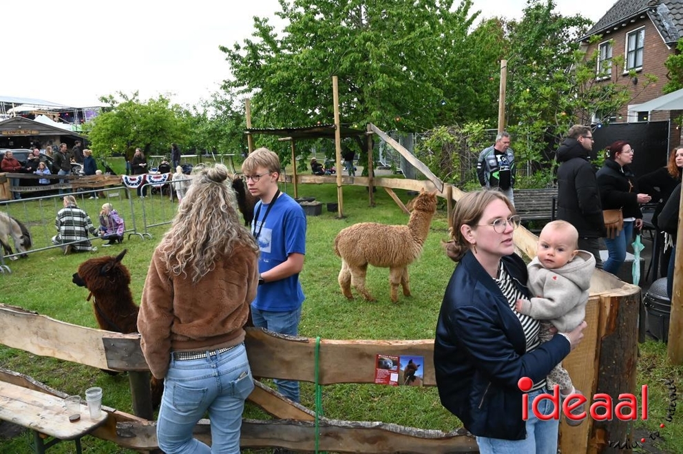 JB-Bronckhorsterfestival-2026-05-14-0043.JPG