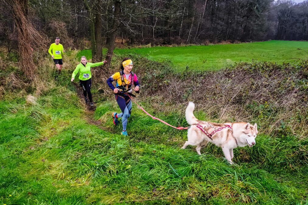 20241214_-Borculo-Cani-Trail-52-scaled.jpg