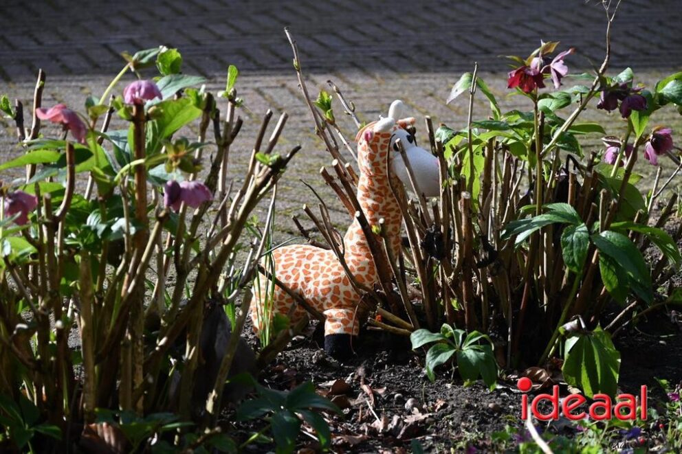 JB-wandel5maandse-2026-03-15-045