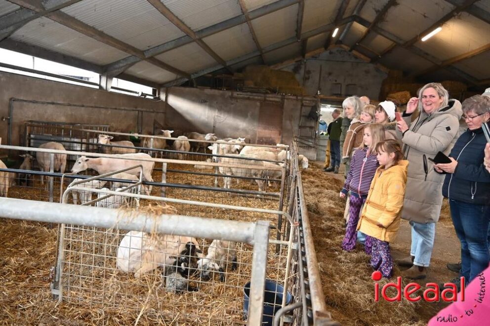 JB-Plattelandswandeling-2026-03-29-124