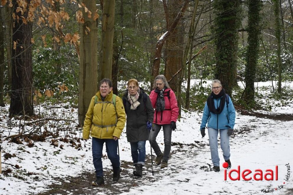 JB-winterwandelingWildenborch-2026-01-04-043