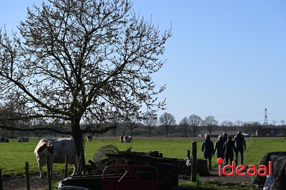 JB-Plattelandswandeling-2026-03-29-022