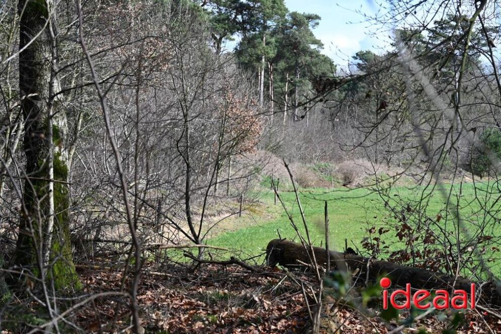 JB-wandel5maandse-2026-03-15-097