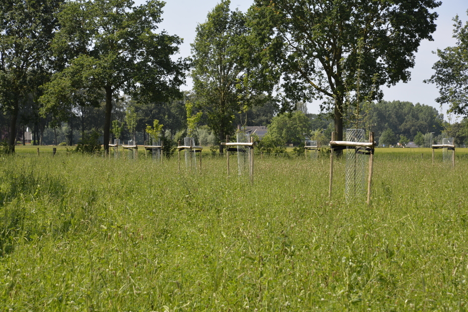 Rondleiding Land van Ons in Hummelo
