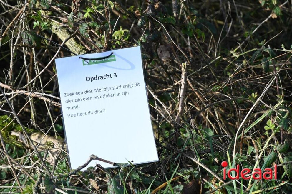JB-wandel5maandse-2026-03-15-030