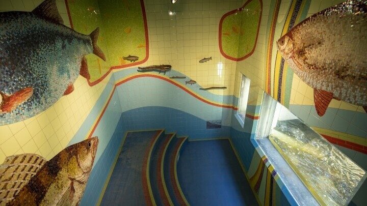 KijkruimtevispassageDoesburgWaterschapRijnenIJsselKlein1.jpg