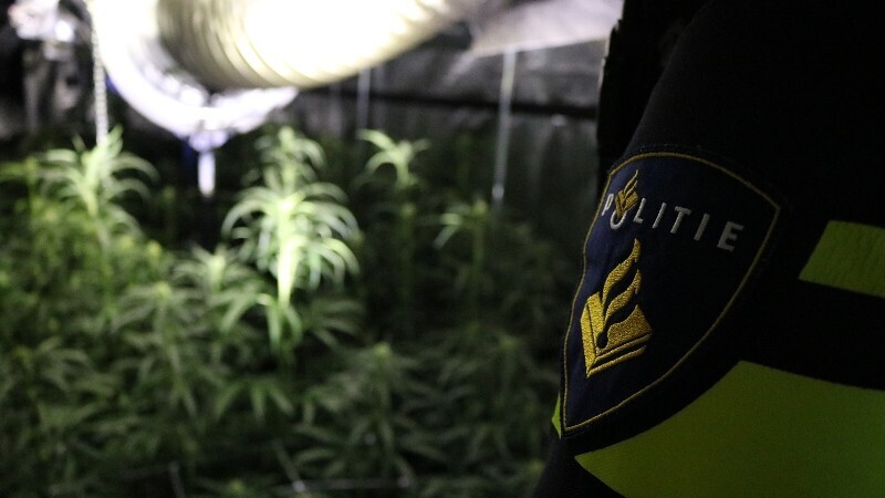politie-hennepkwekerij-stock.jpg