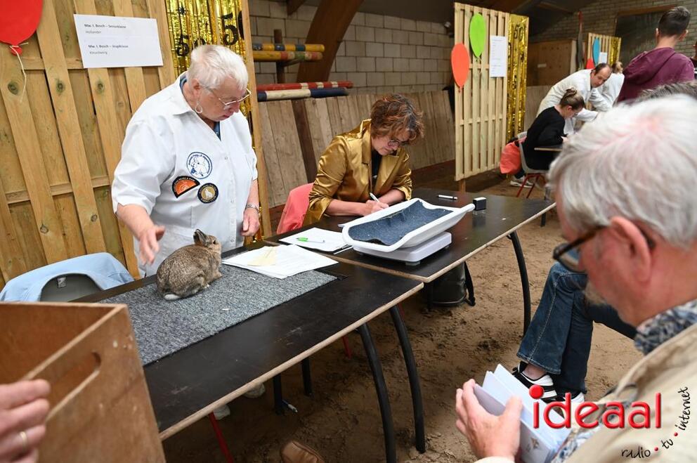 JB-JeugdshowLaren-2026-09-19-0050