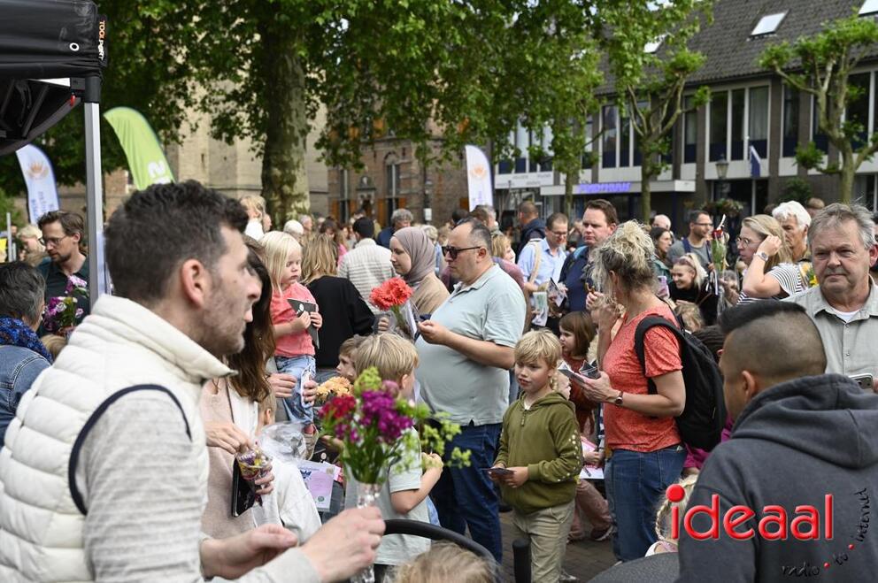 JB-4edagavond4daagse-2026-06-05-0104