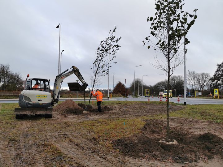 gemeente-doetinchem-bomen-plaatsen.jpg