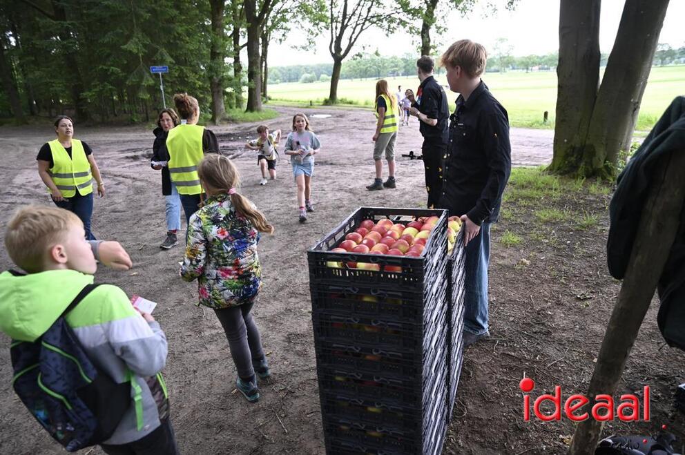 JB-2edagavond4daagse-2026-06-03-0053