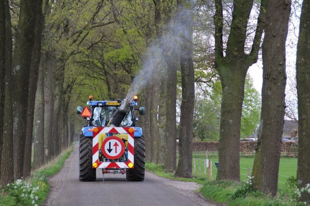 bestrijding-eikenprosessierups-1024x683-rtv-ideaal