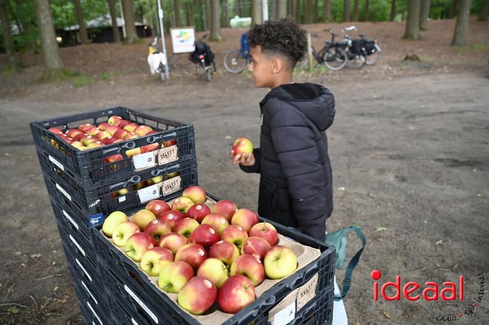JB-2edagavond4daagse-2026-06-03-0051