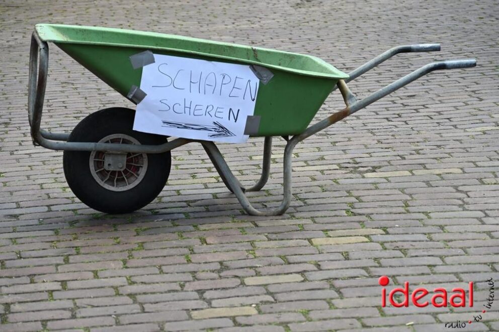 JB-Plattelandswandeling-2026-03-29-110
