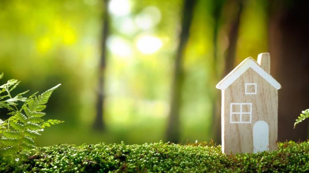 Week-xx-Small-House-webpagina