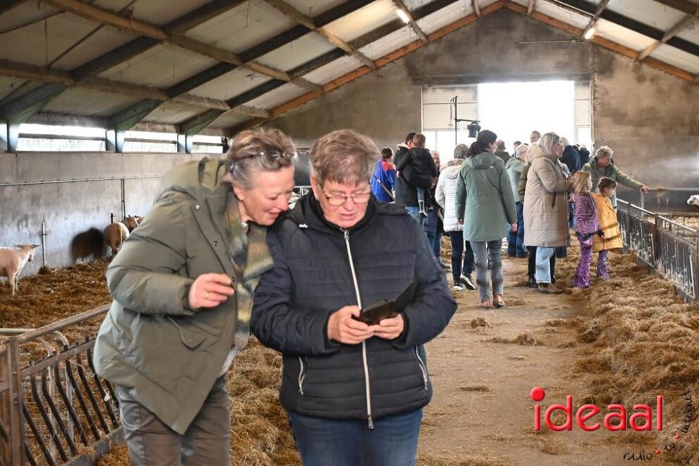 JB-Plattelandswandeling-2026-03-29-127