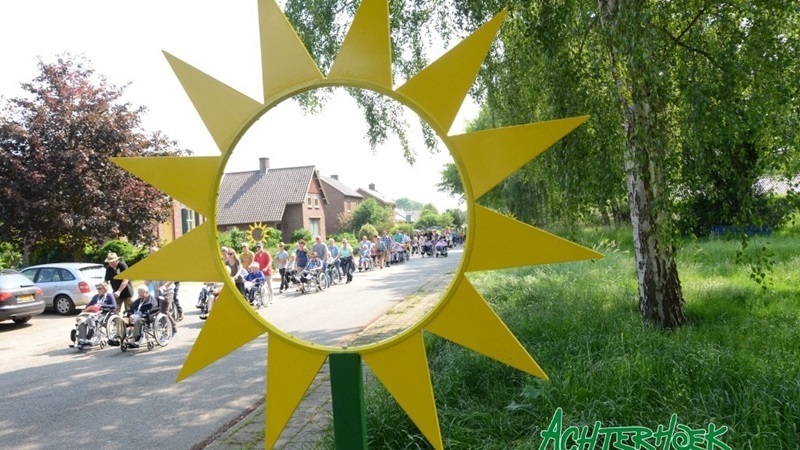 Zonnebloem-IJsselstreek.jpg
