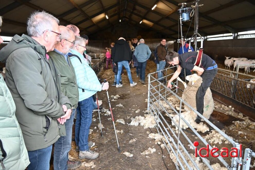 JB-Plattelandswandeling-2026-03-29-123