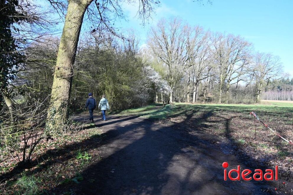 JB-wandel5maandse-2026-03-15-025