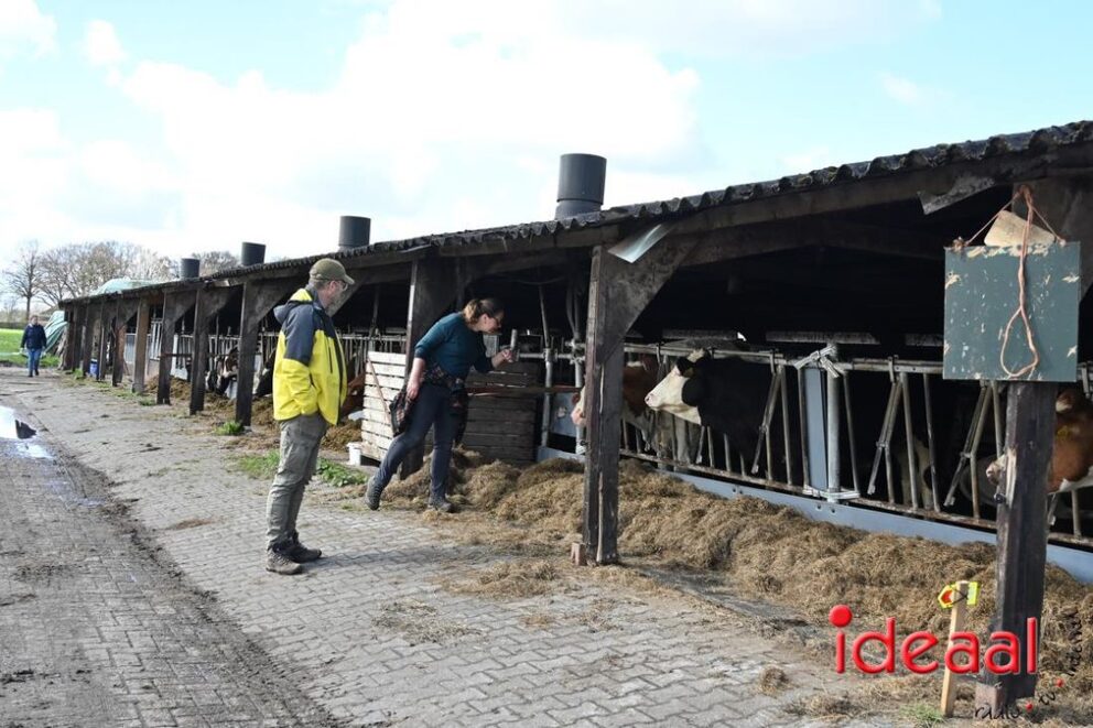 JB-Plattelandswandeling-2026-03-29-072