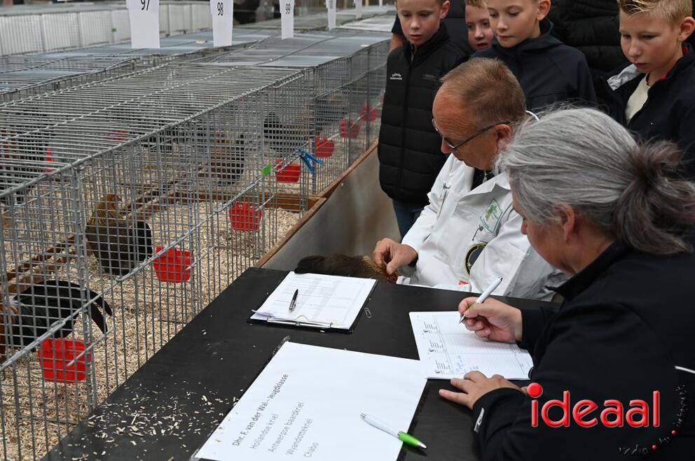 JB-JeugdshowLaren-2026-09-19-0061