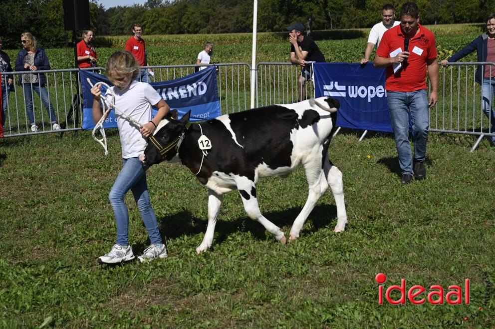 JB-KOCBronckhorst-2026-08-29-0015