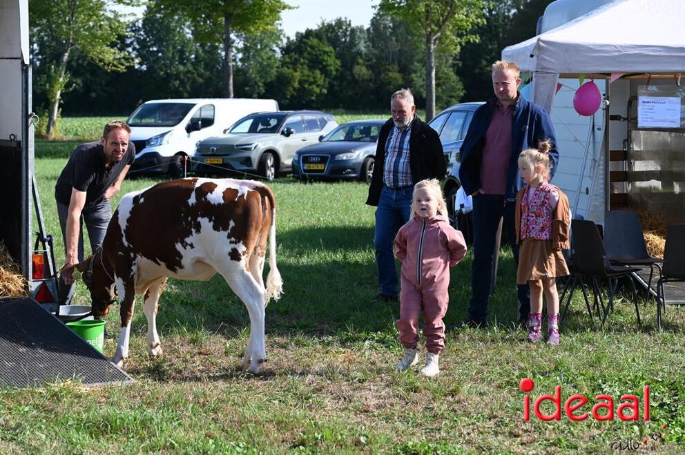 JB-KOCBronckhorst-2026-08-29-0041