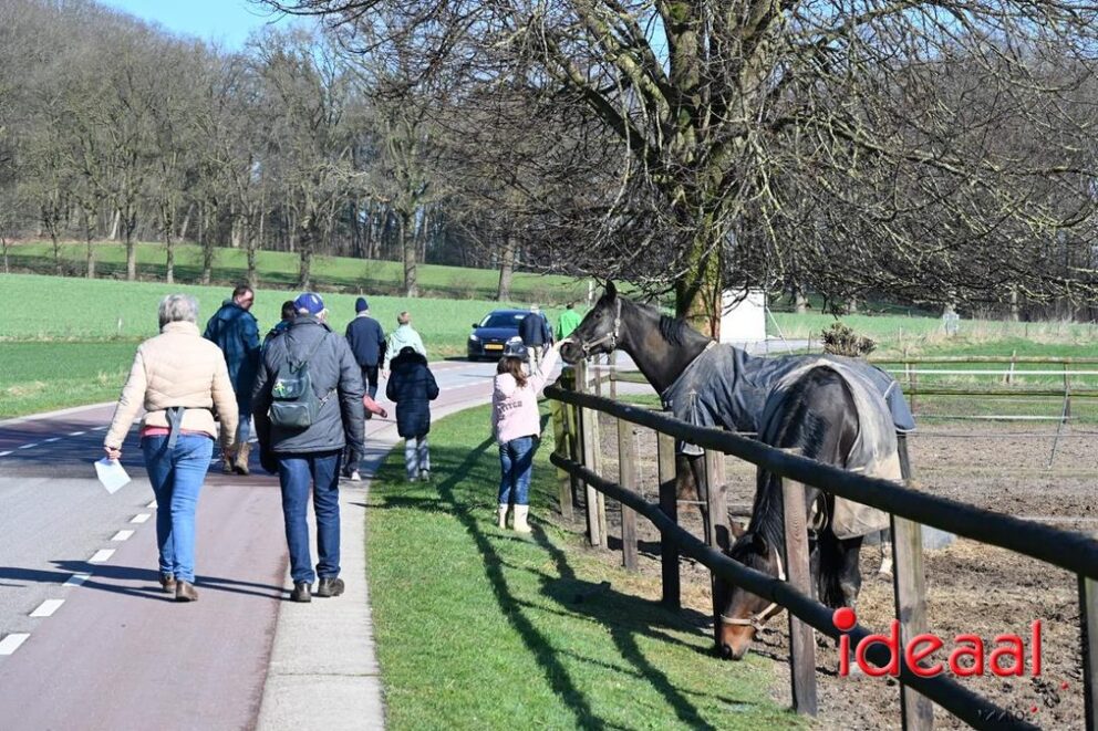 JB-wandel5maandse-2026-03-15-017