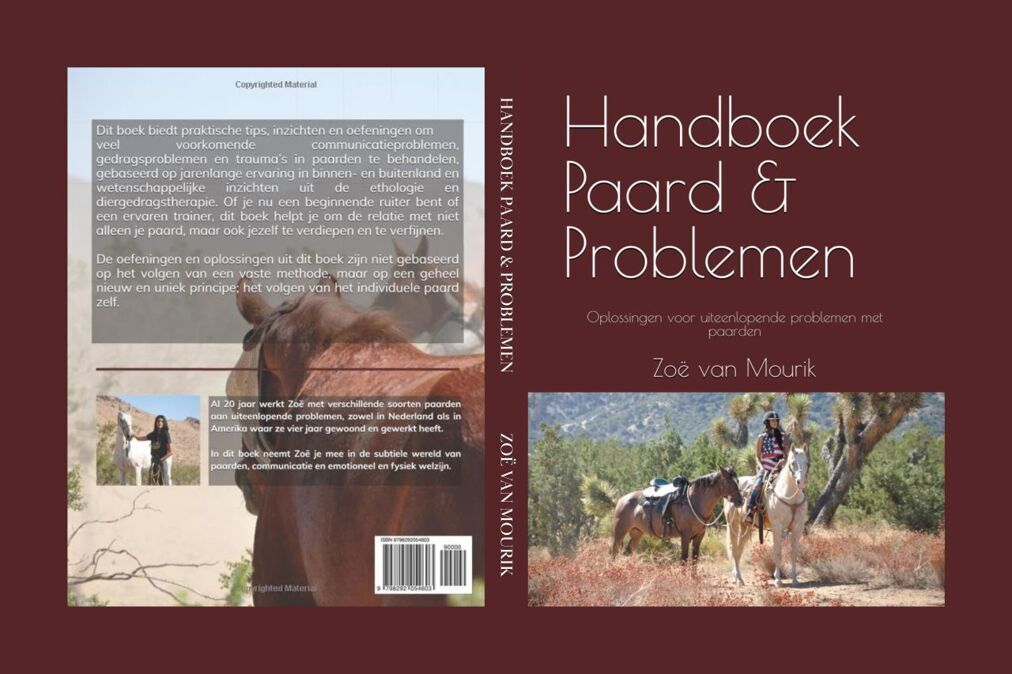 Book-website-cover-002