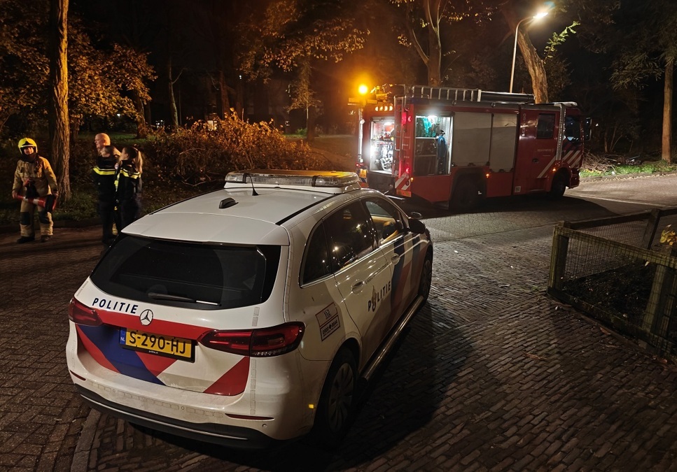 20241118-Brandje-park-Doetinchem